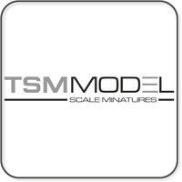 TSM Models