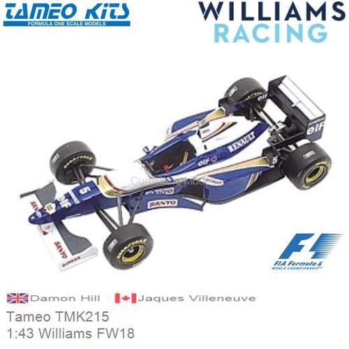 Bouwpakket 1:43 Williams FW18 | Damon Hill (Tameo TMK215)