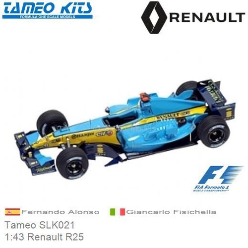 Bouwpakket 1:43 Renault R25 | Fernando Alonso (Tameo SLK021)