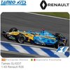 Bouwpakket 1:43 Renault R26 | Fernando Alonso (Tameo SLK037)