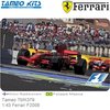 Bouwpakket 1:43 Ferrari F2008 | Kimi Raikkonen (Tameo TMK379)